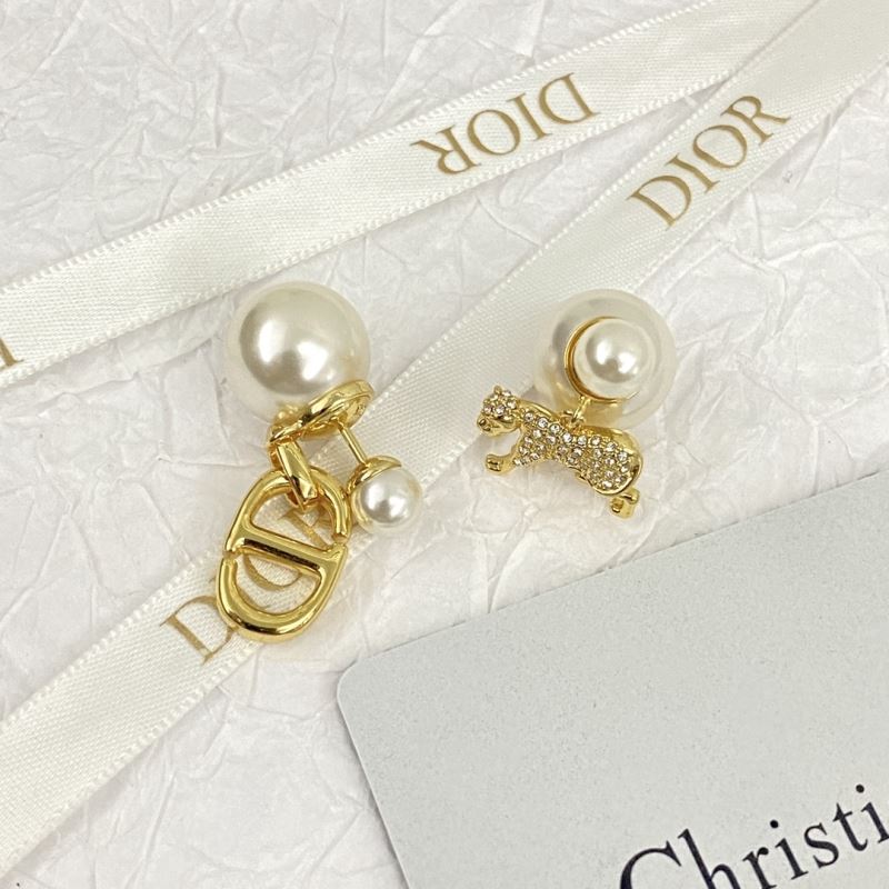 Christian Dior Earrings